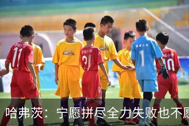 哈弗茨:宁愿拼尽全力失败也不愿留遗憾;哲凯赖什是顶尖前锋