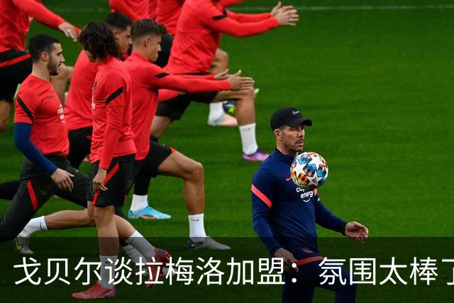 戈贝尔谈拉梅洛加盟：氛围太棒了，我们需要这种快乐